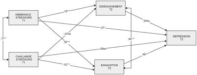 Toward a better understanding of the health impairment process. Types of demand and burnout component matter